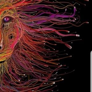 Meet your Posher, Ahyana